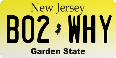 NJ license plate B02WHY