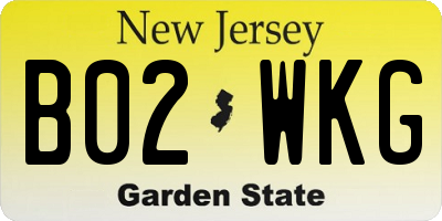 NJ license plate B02WKG