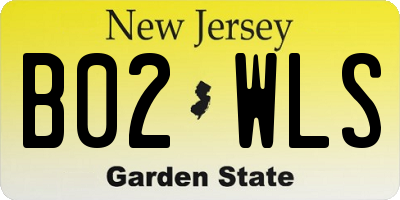 NJ license plate B02WLS