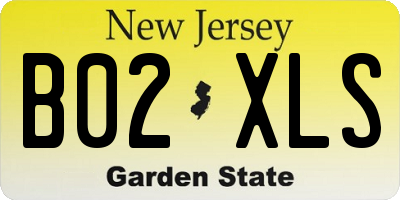 NJ license plate B02XLS