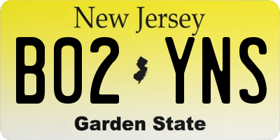 NJ license plate B02YNS
