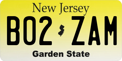 NJ license plate B02ZAM