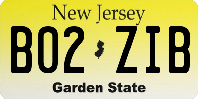NJ license plate B02ZIB