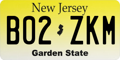 NJ license plate B02ZKM