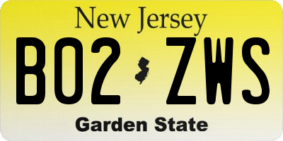 NJ license plate B02ZWS