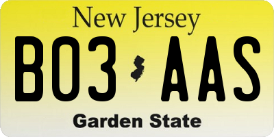 NJ license plate B03AAS