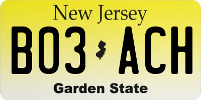 NJ license plate B03ACH