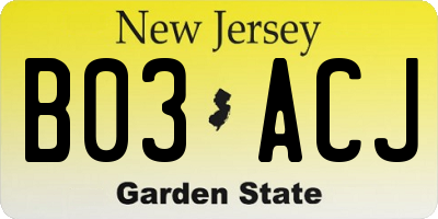 NJ license plate B03ACJ