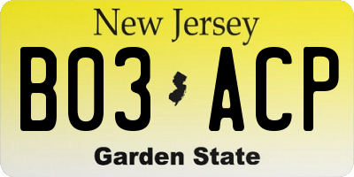 NJ license plate B03ACP