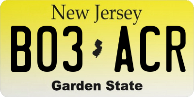NJ license plate B03ACR
