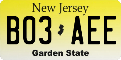NJ license plate B03AEE