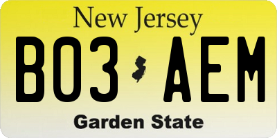 NJ license plate B03AEM