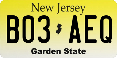 NJ license plate B03AEQ