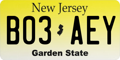 NJ license plate B03AEY