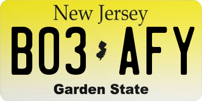 NJ license plate B03AFY