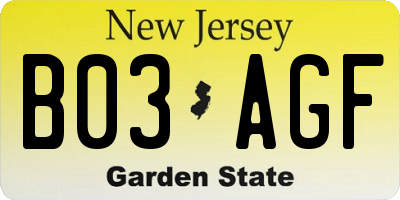 NJ license plate B03AGF