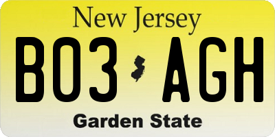 NJ license plate B03AGH
