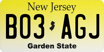 NJ license plate B03AGJ