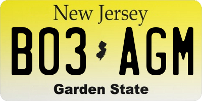 NJ license plate B03AGM