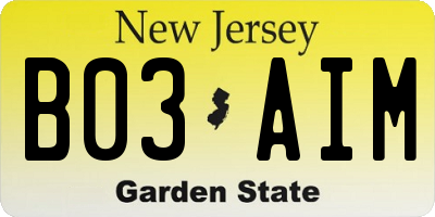 NJ license plate B03AIM