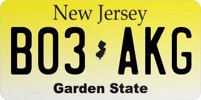 NJ license plate B03AKG