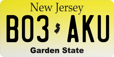 NJ license plate B03AKU