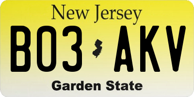 NJ license plate B03AKV