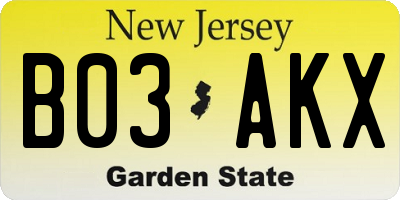 NJ license plate B03AKX