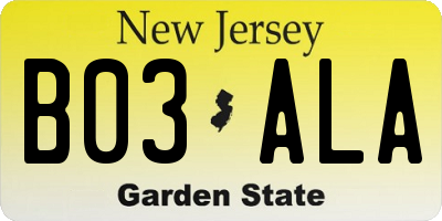 NJ license plate B03ALA