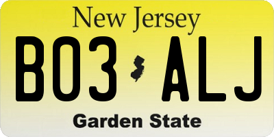NJ license plate B03ALJ