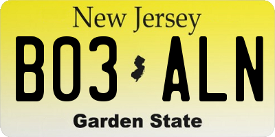NJ license plate B03ALN