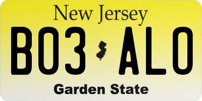 NJ license plate B03ALO