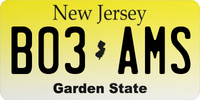 NJ license plate B03AMS