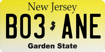 NJ license plate B03ANE