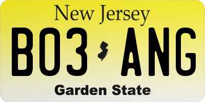 NJ license plate B03ANG