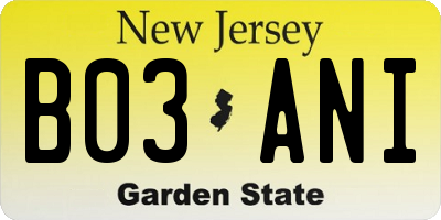 NJ license plate B03ANI