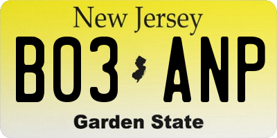 NJ license plate B03ANP
