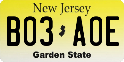 NJ license plate B03AOE