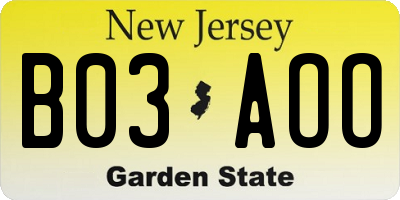 NJ license plate B03AOO