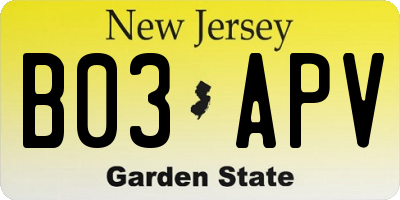 NJ license plate B03APV