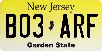 NJ license plate B03ARF