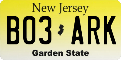NJ license plate B03ARK