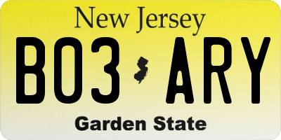 NJ license plate B03ARY