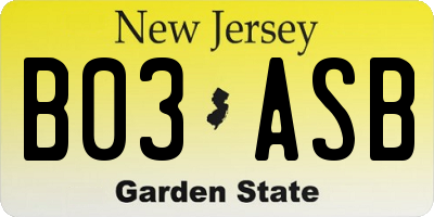 NJ license plate B03ASB