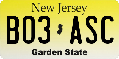 NJ license plate B03ASC