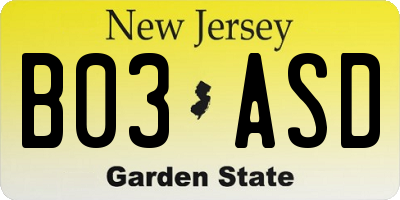 NJ license plate B03ASD