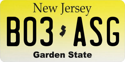 NJ license plate B03ASG