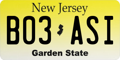 NJ license plate B03ASI