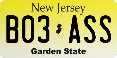 NJ license plate B03ASS