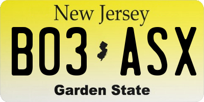 NJ license plate B03ASX